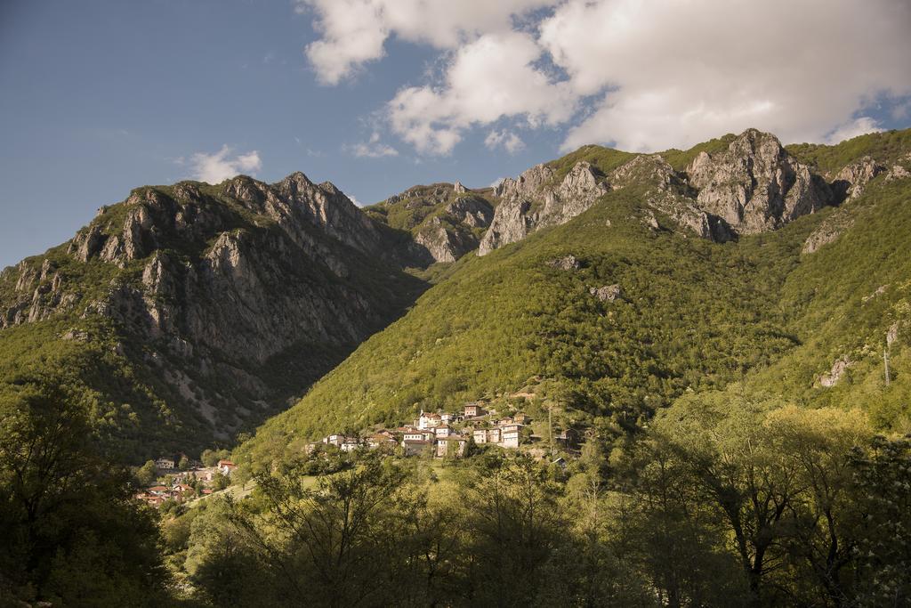 Апартаменты Radika View House Galicnik Номер фото