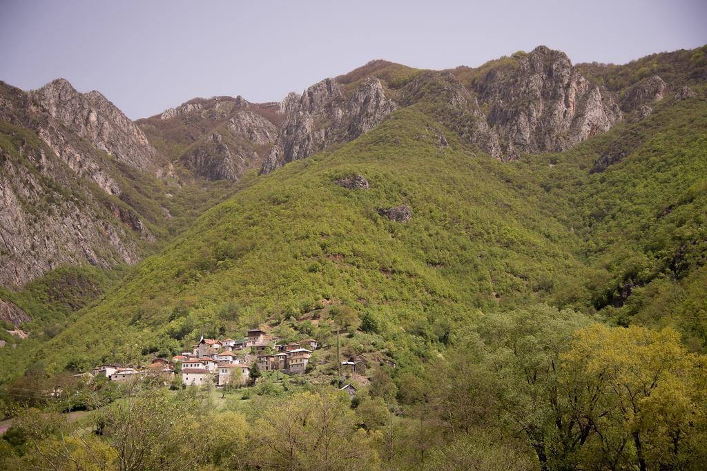 Апартаменты Radika View House Galicnik Номер фото