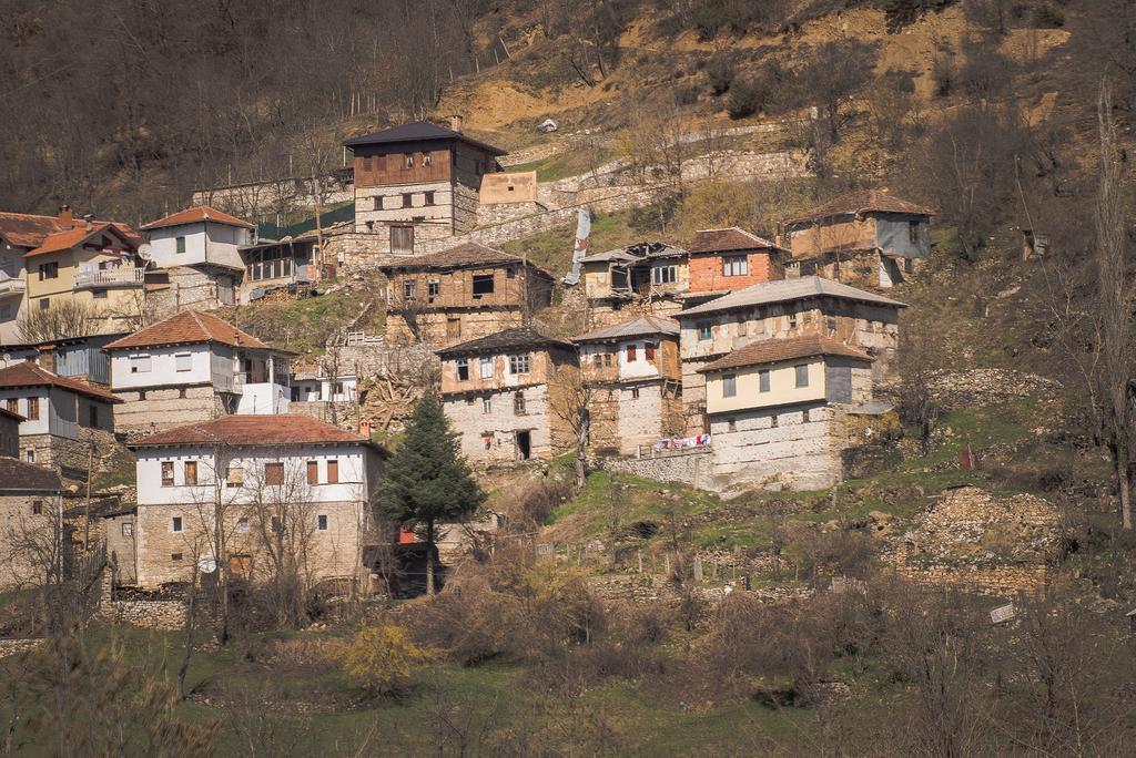 Апартаменты Radika View House Galicnik Номер фото