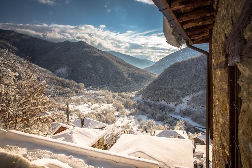 Апартаменты Radika View House Galicnik Номер фото